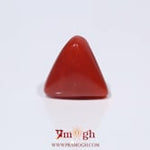Red Coral - 3.9 Carat