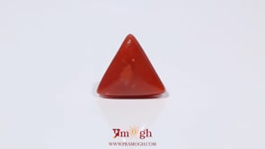 Red Coral - 3.6 Carat