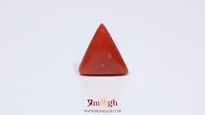 Red Coral - 3.9 Carat