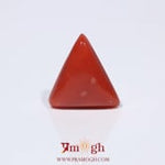 Red Coral - 3.9 Carat