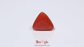 Red Coral - 3.93 Carat