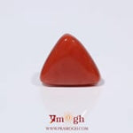 Red Coral - 3.93 Carat