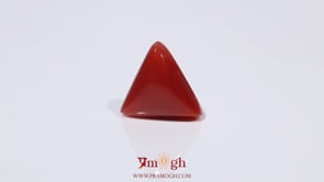 Red Coral - 3.78 Carat