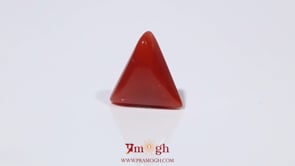 Red Coral - 3.9 Carat