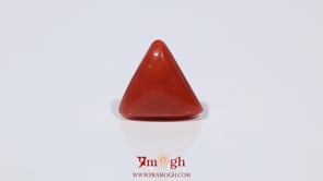 Red Coral - 3.6 Carat