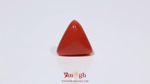 Red Coral - 3.8 Carat