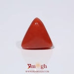 Red Coral - 3.8 Carat