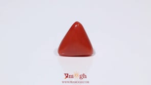 Red Coral - 3.6 Carat