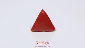 Red Coral - 3.68 Carat