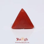 Red Coral - 3.68 Carat