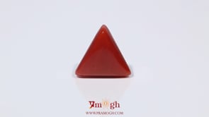 Red Coral - 3.98 Carat