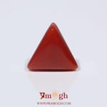 Red Coral - 3.98 Carat