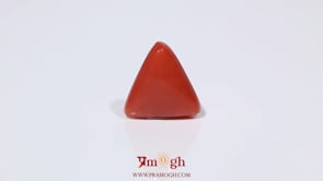 Red Coral - 3.6 Carat