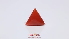 Red Coral - 3.6 Carat