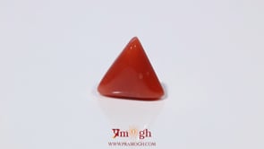 Red Coral - 3.76 Carat