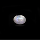 Rainbow Moonstone - 7.8 Carat - Pramogh