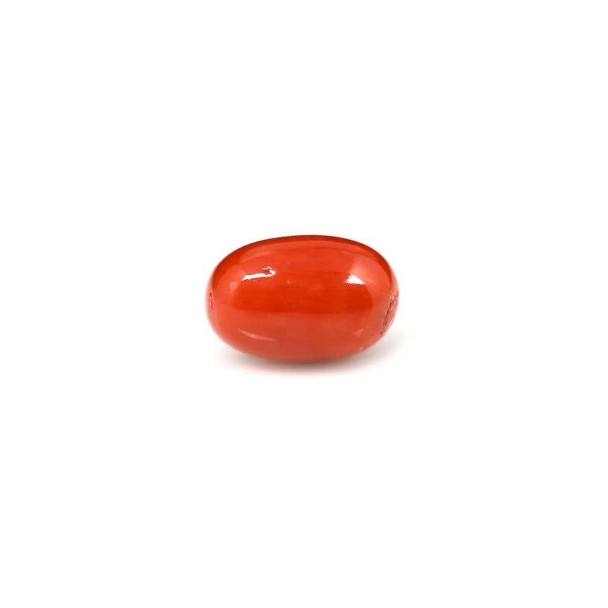 Red Coral - 6.95 Carat - Pramogh