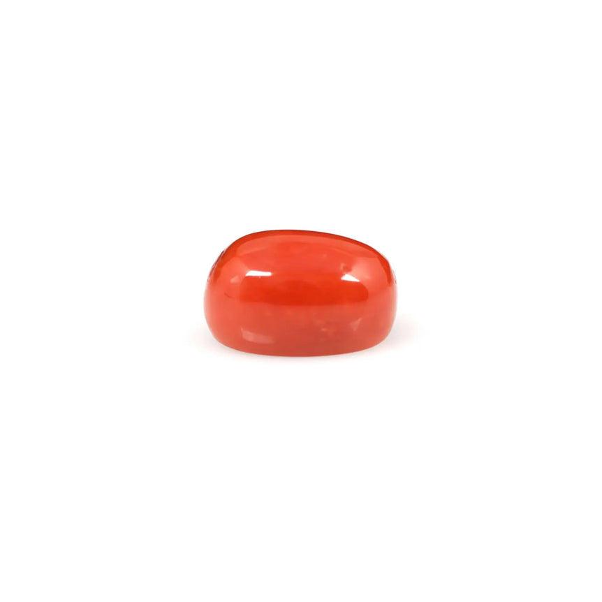 Red Coral - 6.95 Carat - Pramogh