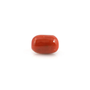 Red Coral - 7.2 Carat - Pramogh