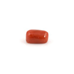 Red Coral - 7.2 Carat - Pramogh