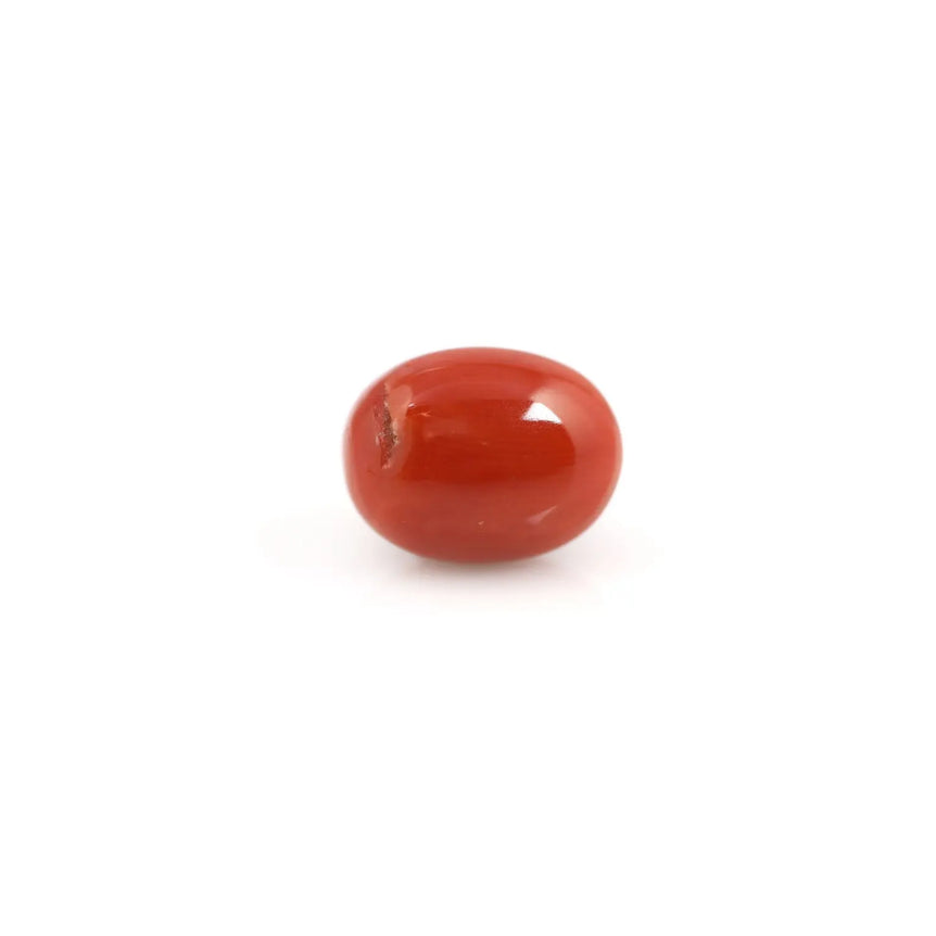 Red Coral - 6.6 Carat - Pramogh