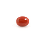 Red Coral - 6.6 Carat - Pramogh