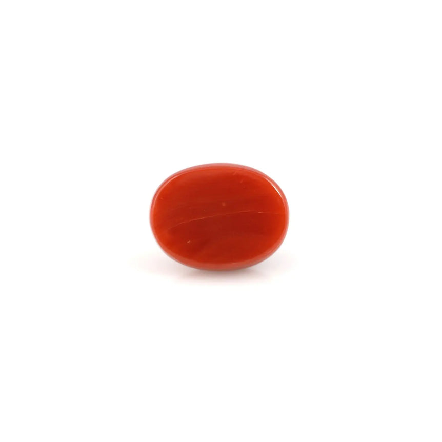 Red Coral - 6.6 Carat - Pramogh