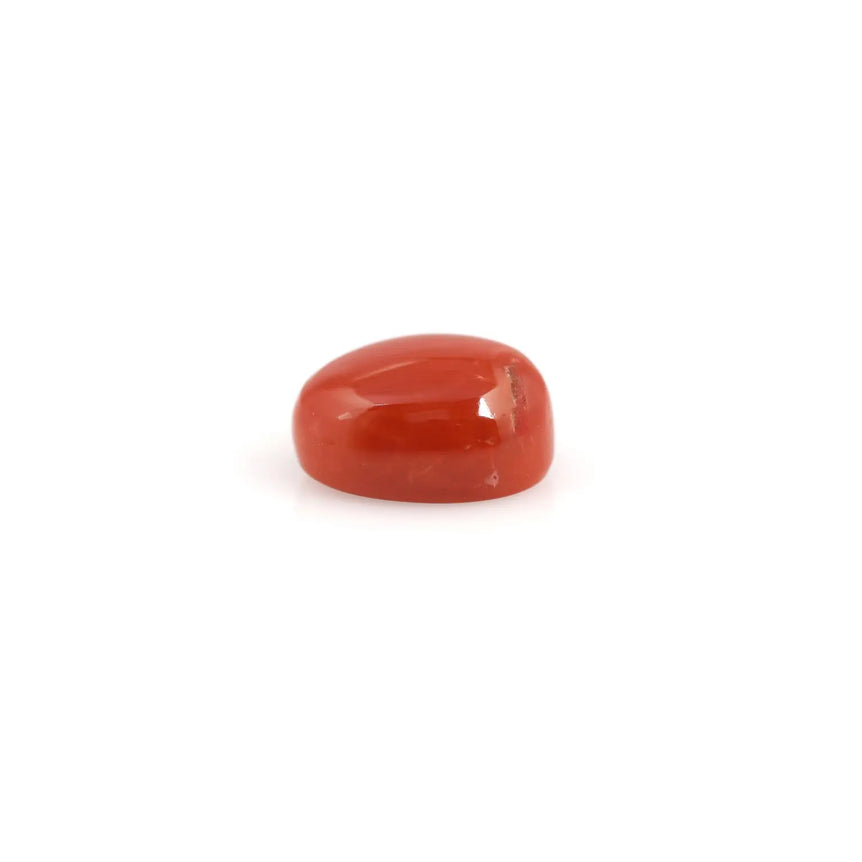 Red Coral - 6.6 Carat - Pramogh