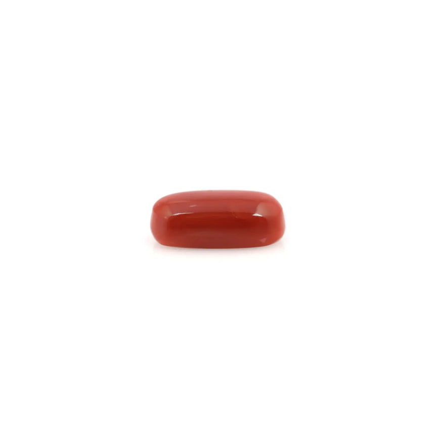 Red Coral - 5.55 Carat - Pramogh