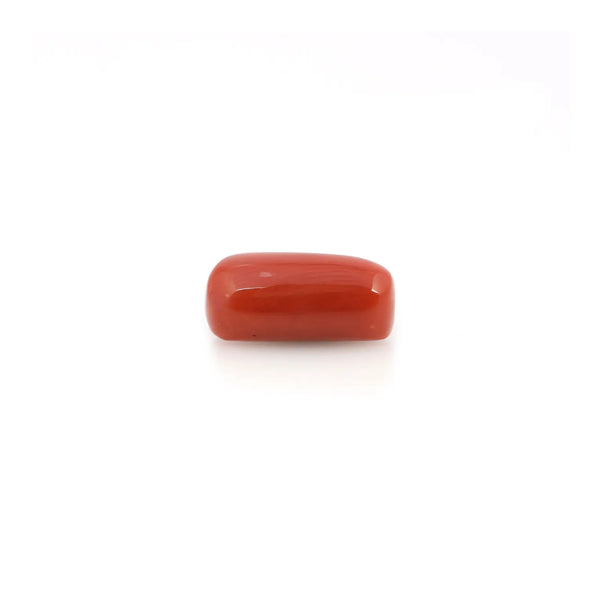 Red Coral - 4.2 Carat