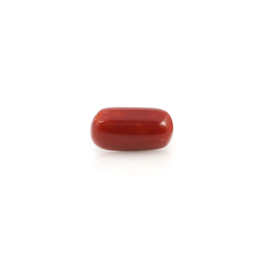 Red Coral - 4.2 Carat - Pramogh