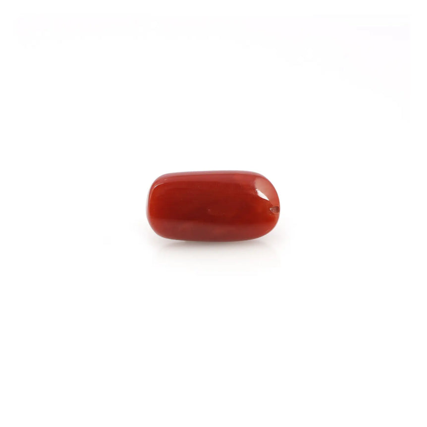 Red Coral - 4.2 Carat - Pramogh