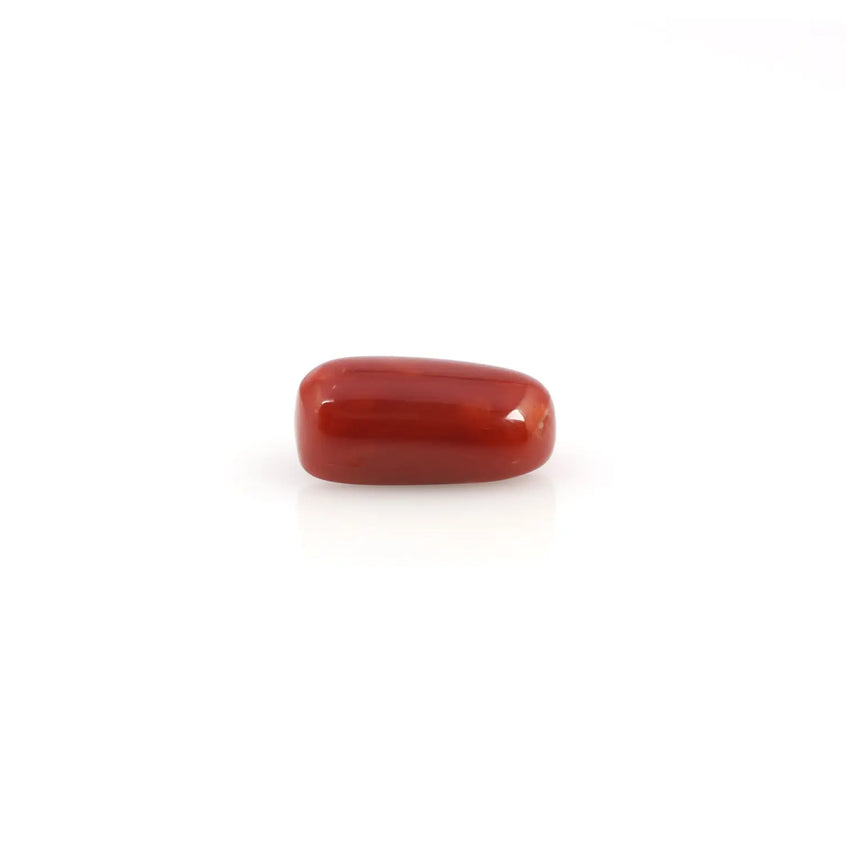 Red Coral - 4.2 Carat - Pramogh