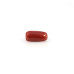 Red Coral - 4.2 Carat - Pramogh