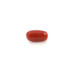 Red Coral - 4.2 Carat - Pramogh