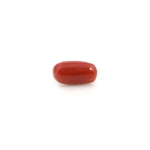 Red Coral - 4.2 Carat - Pramogh