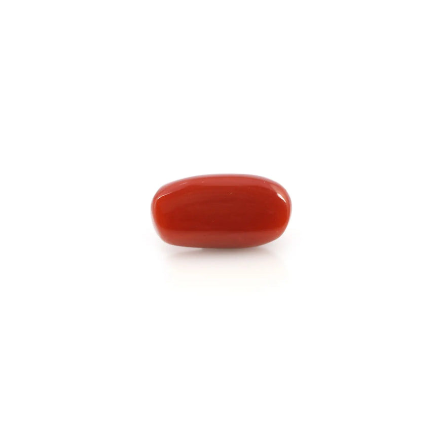 Red Coral - 4.2 Carat - Pramogh