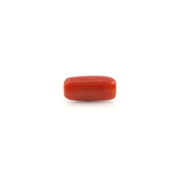 Red Coral - 3.9 Carat