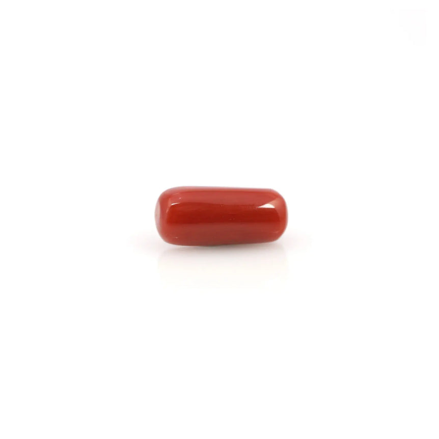 Red Coral - 4.05 Carat - Pramogh