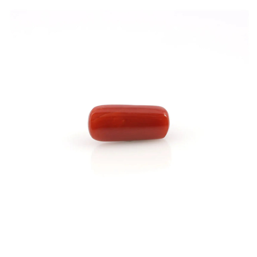 Red Coral - 4.05 Carat - Pramogh