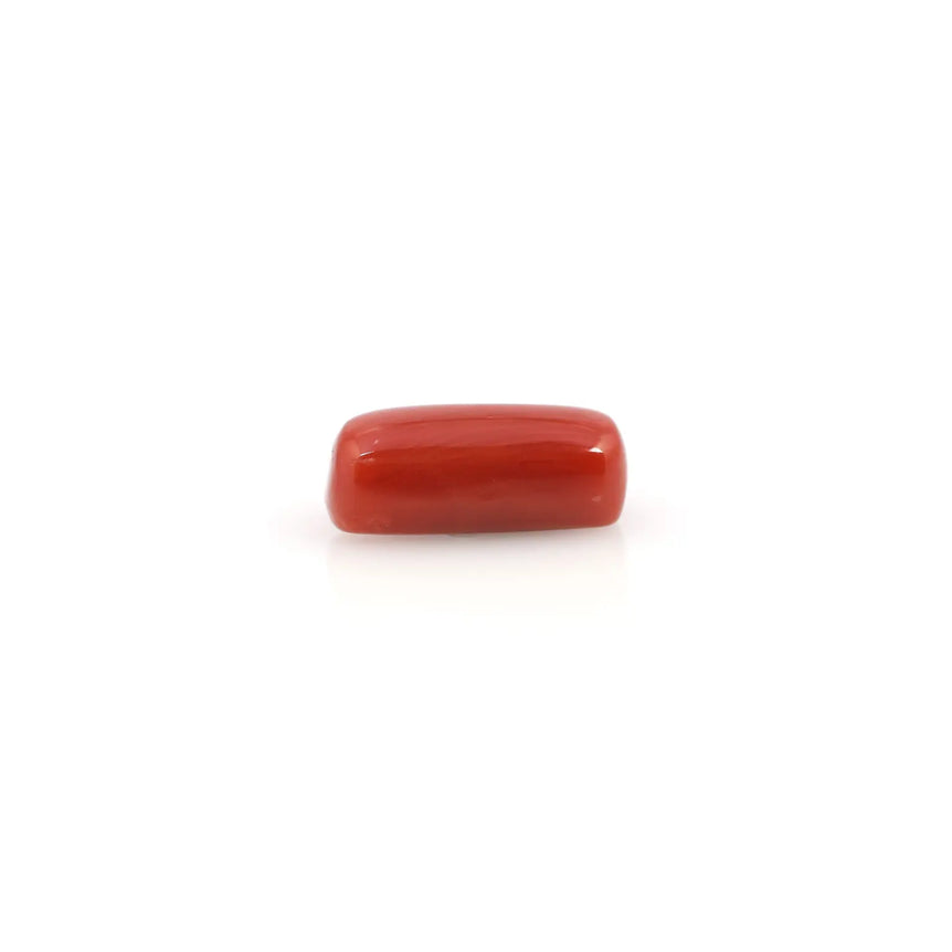 Red Coral - 4.05 Carat - Pramogh