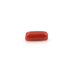 Red Coral - 4.05 Carat - Pramogh