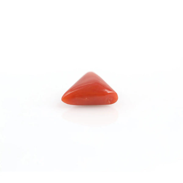 Red Coral - 3.75 Carat