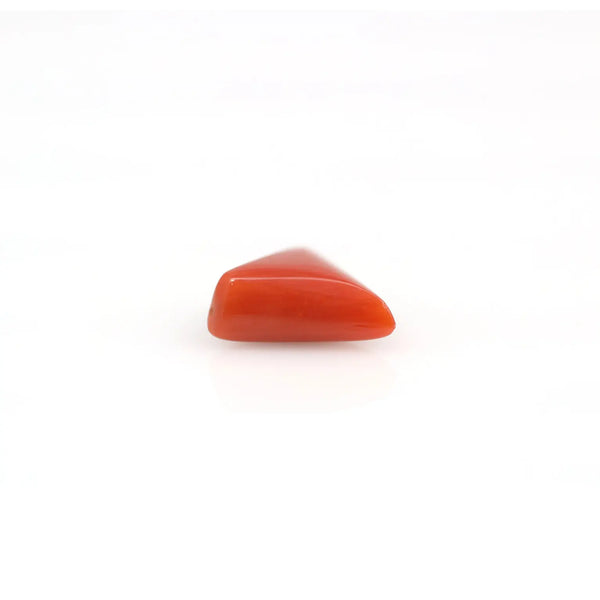 Red Coral - 3.9 Carat