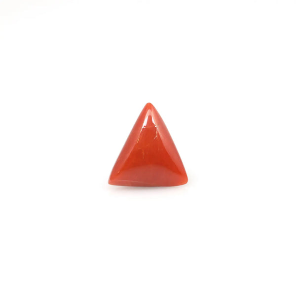 Red Coral - 3.8 Carat