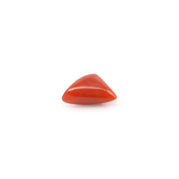 Red Coral - 3.8 Carat