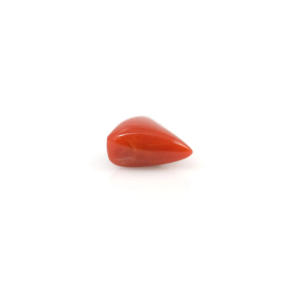 Red Coral - 3.6 Carat