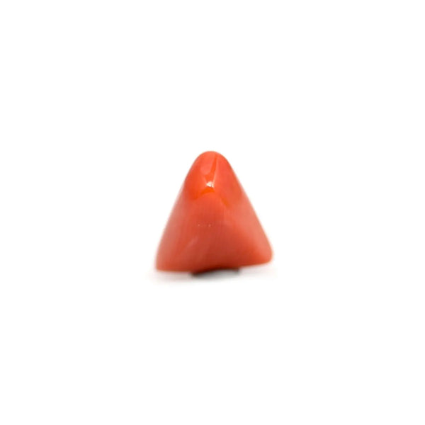 Red Coral - 3.6 Carat