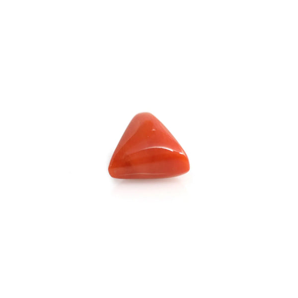 Red Coral - 3.6 Carat