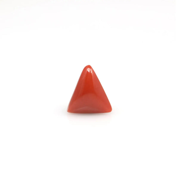 Red Coral - 3.8 Carat